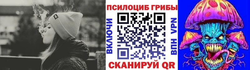 hydra   Тосно  Псилоцибиновые грибы Cubensis 